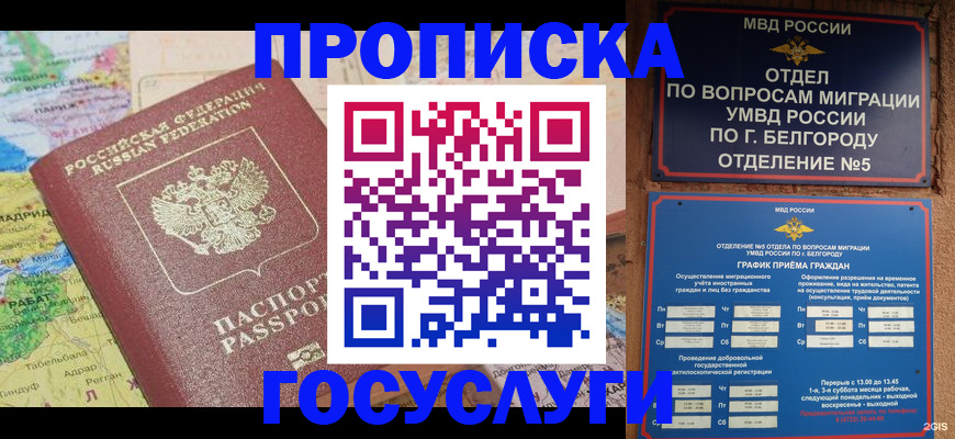 прописка регистрация в Кимовске
